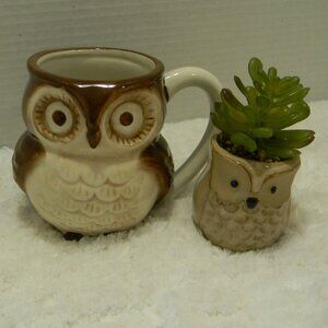 Owl Gift Set Mug and Succulent Planter World Market NWOT